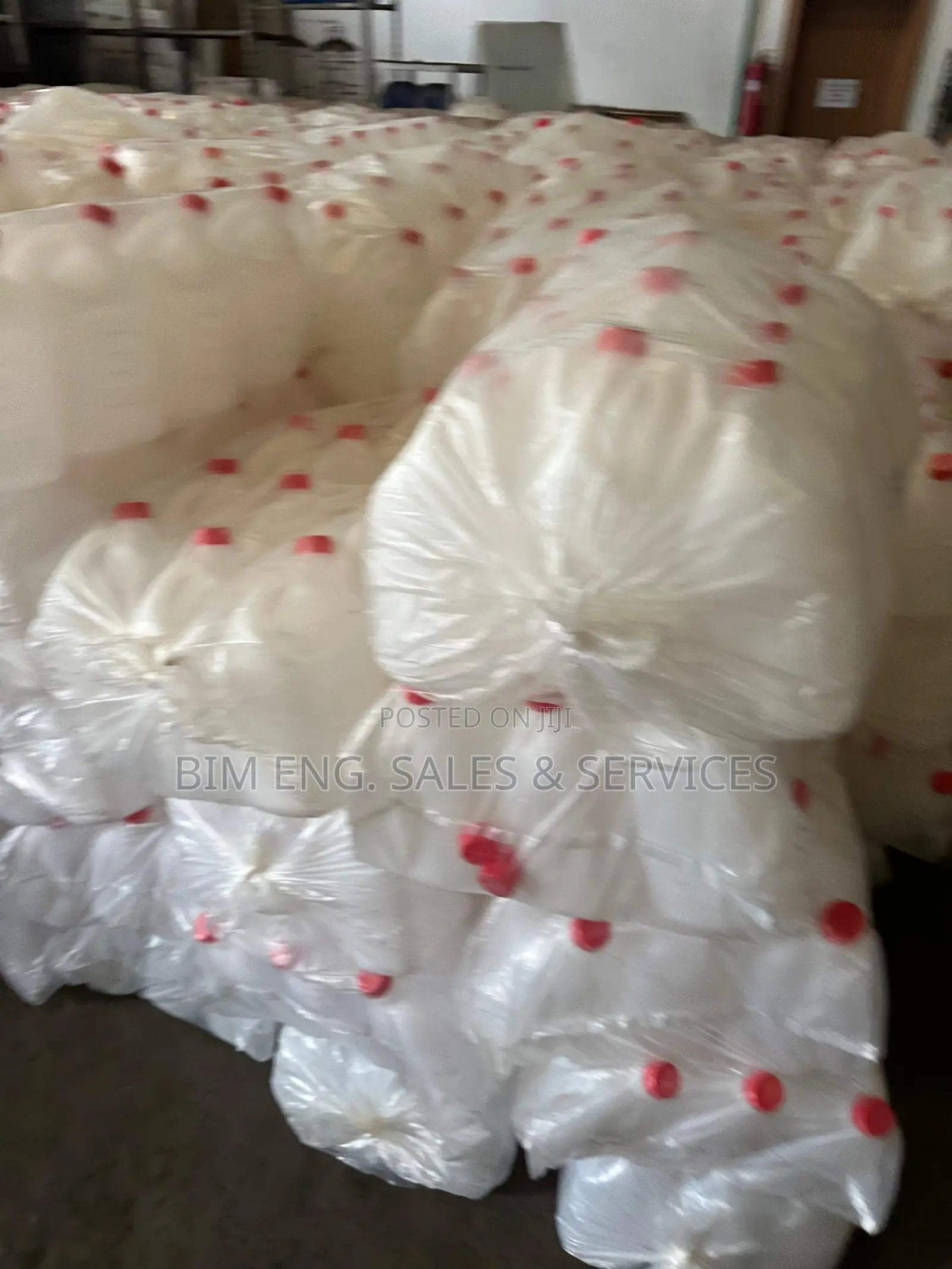 White Kegs for Sale