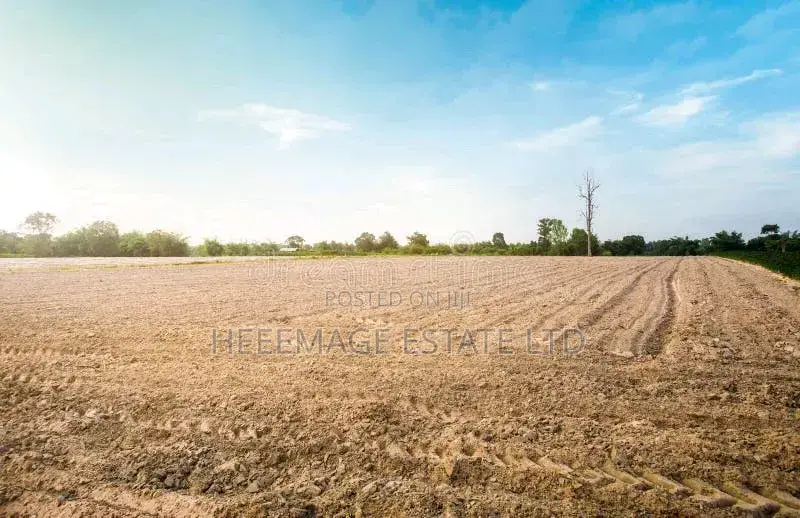 Hot Giri Farmland