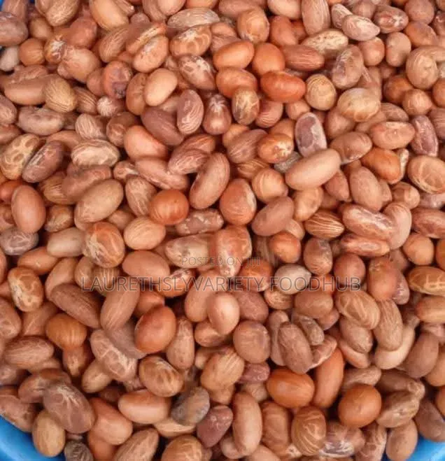 Fresh Bitter Kola for Sale | Premium Quality Supply