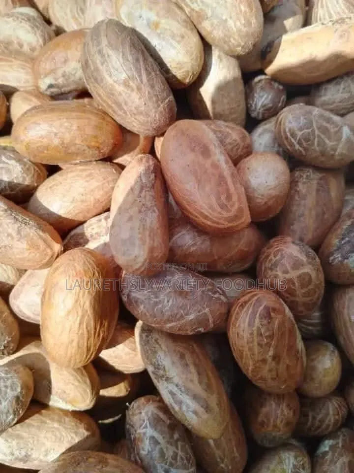 Fresh Bitter Kola for Sale | Premium Quality Supply