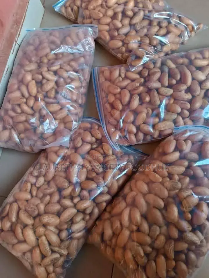 Fresh Bitter Kola for Sale | Premium Quality Supply