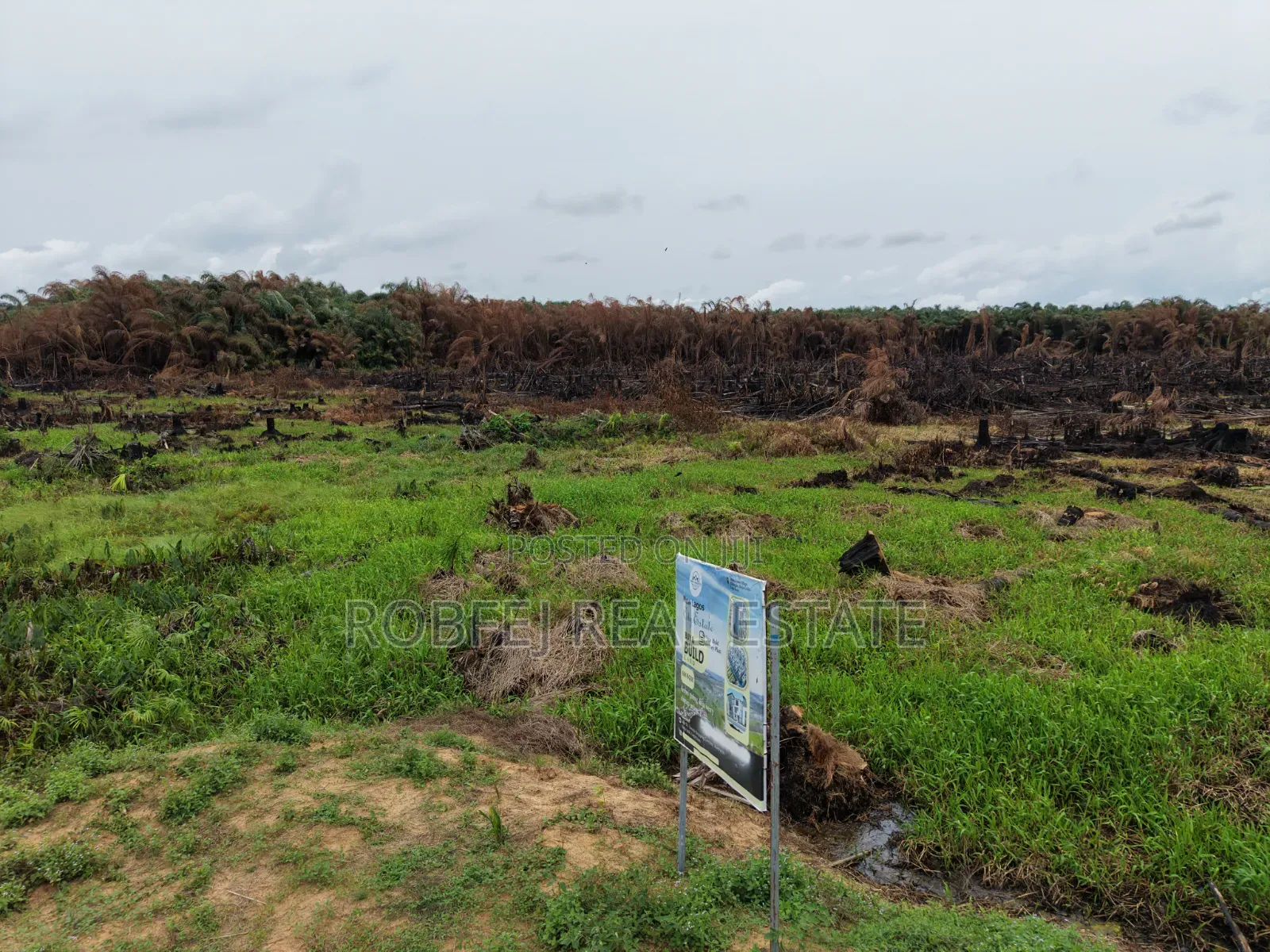 Prime Plots Investment Opportunity in Ibeju Lekki Lagos