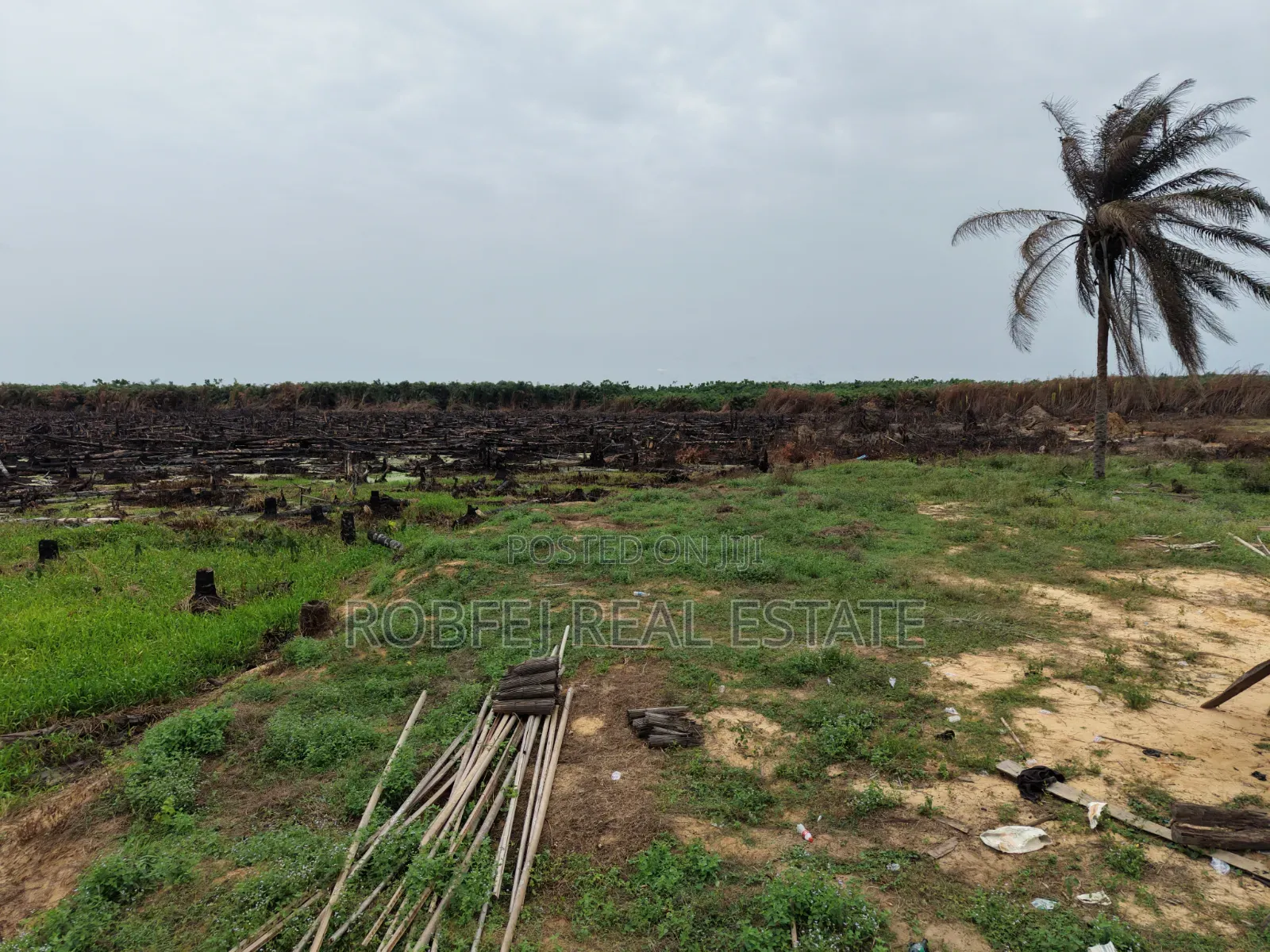 Prime Plots Investment Opportunity in Ibeju Lekki Lagos