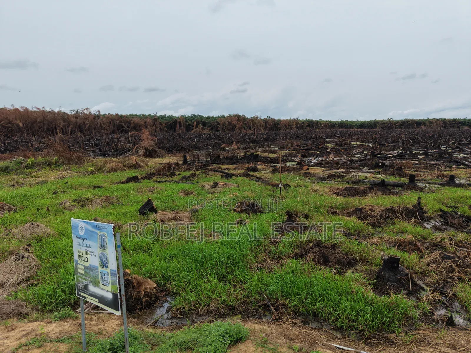 Prime Plots Investment Opportunity in Ibeju Lekki Lagos