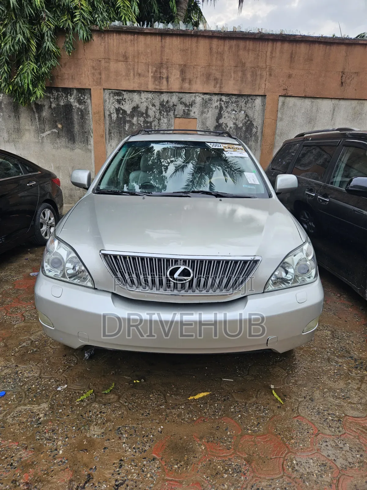 Lexus RX 330 2006 Gray