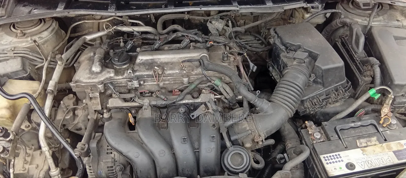 Toyota Corolla 2009 Gray