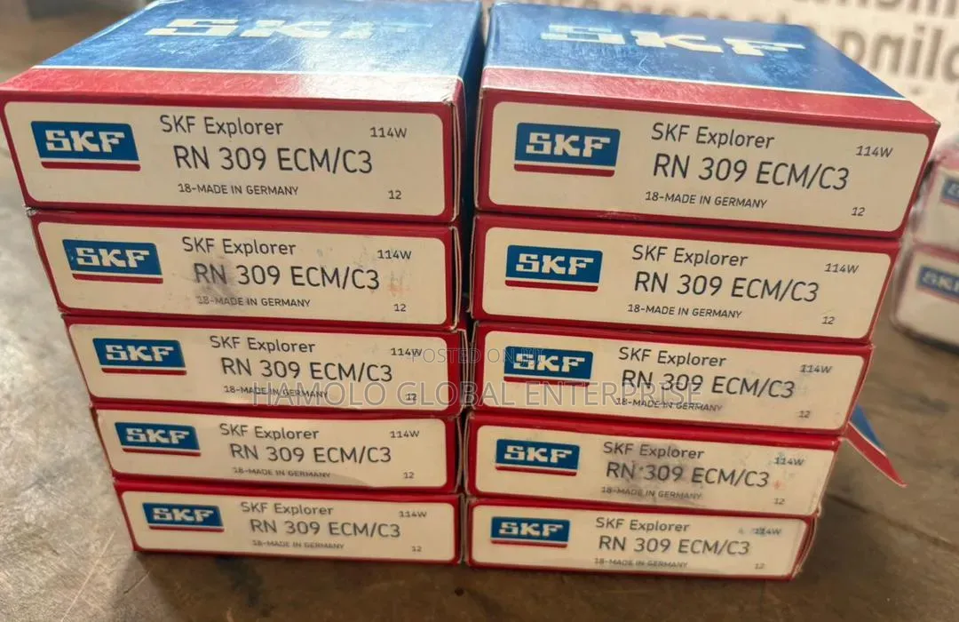 Cynlindrical Roller Bearing Rn 309 Ecm/C3