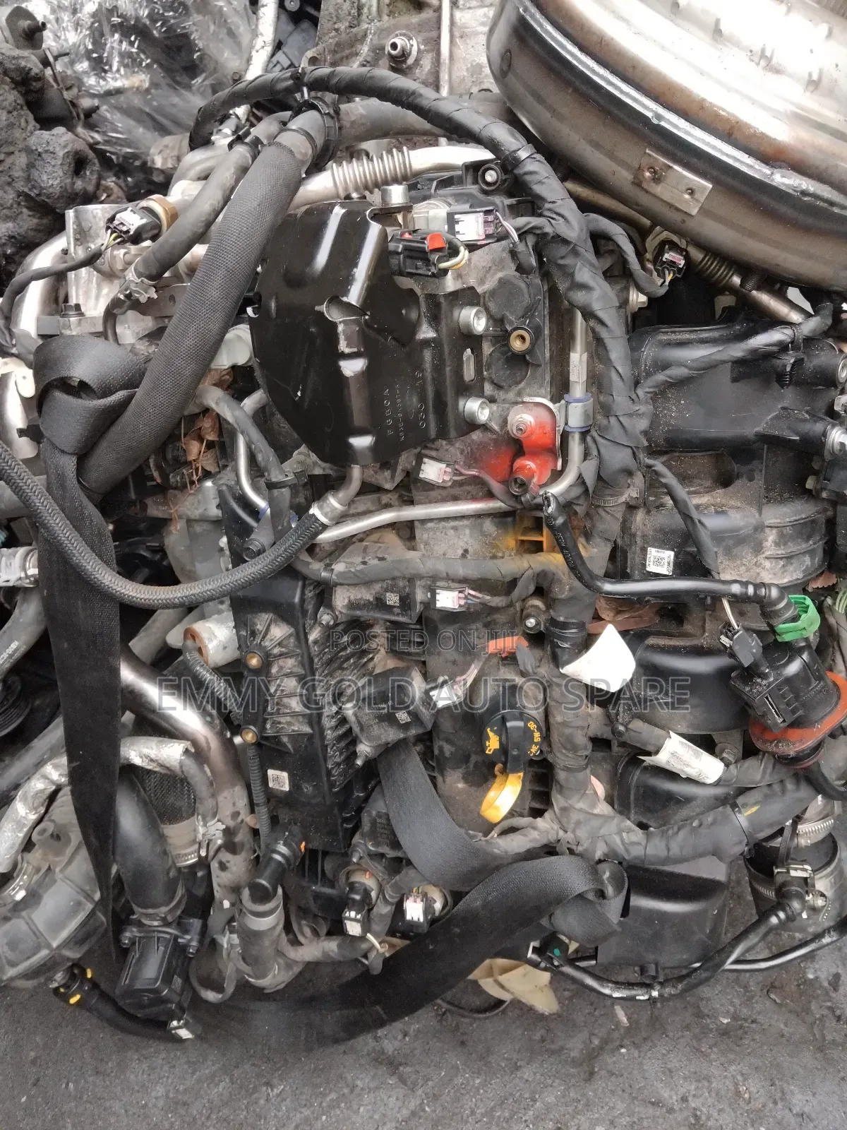 Ford Ranger Engine 2025 Available