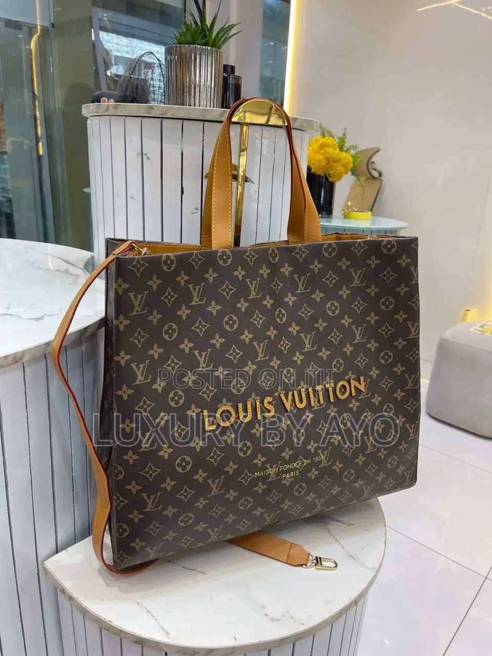 Louis Vuitton Luxury Bag