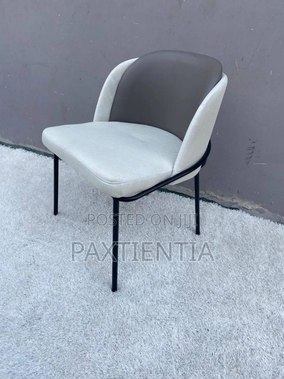 Classic Dining Chair With Iron Legs