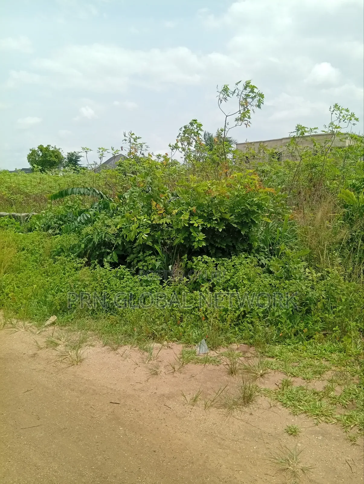5 Plots of Lands Available for Sale at Orogwe