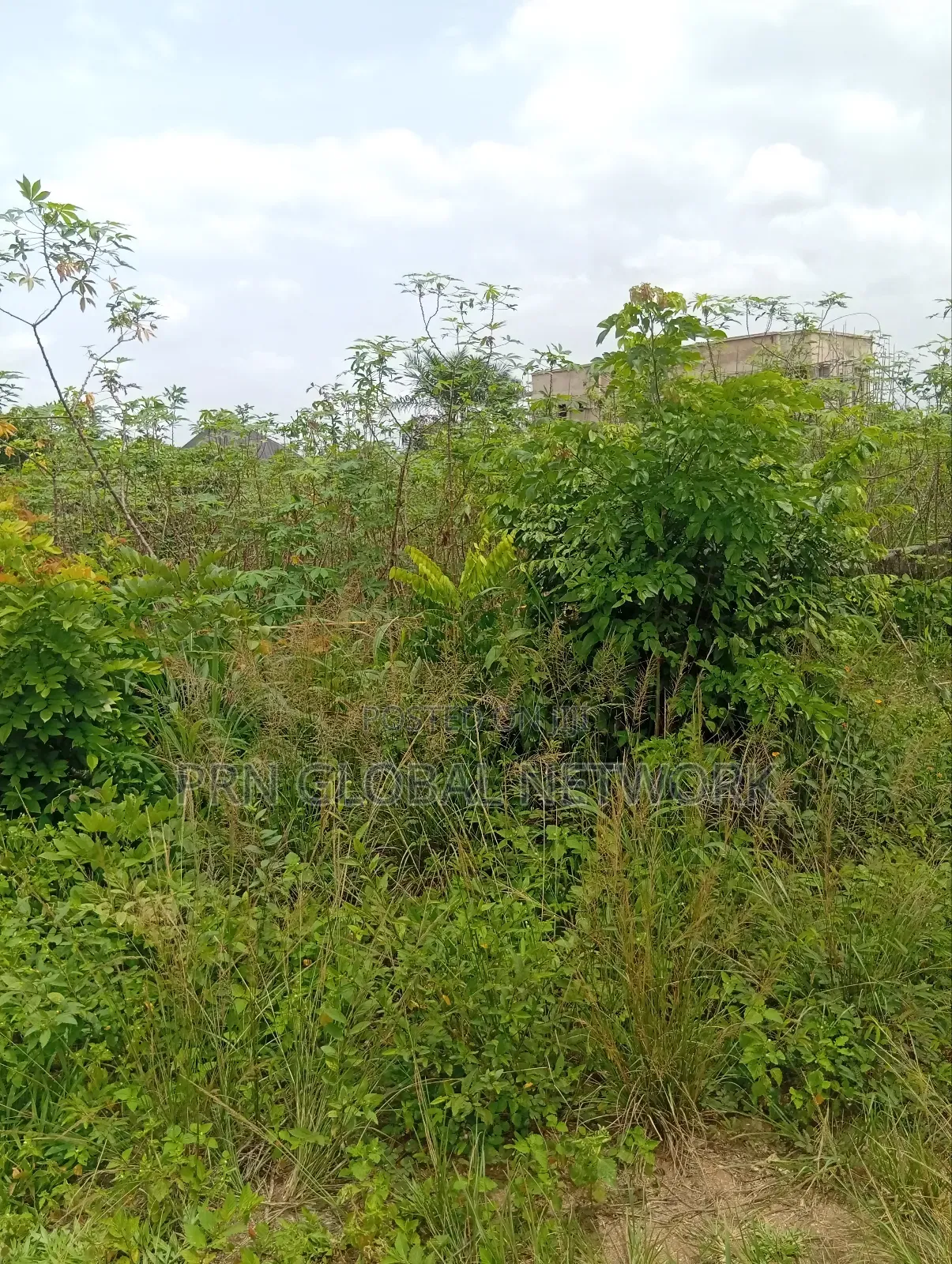 5 Plots of Lands Available for Sale at Orogwe