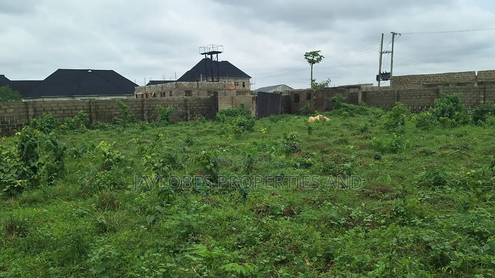 For Sale: 3 Plots of Land at Unity Estate, Eneka
