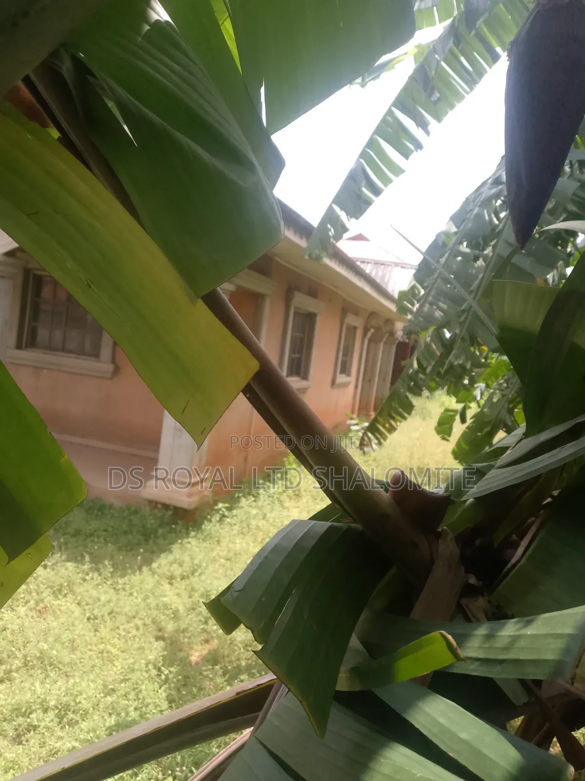 3bdrm Block of Flats in Benin City for sale