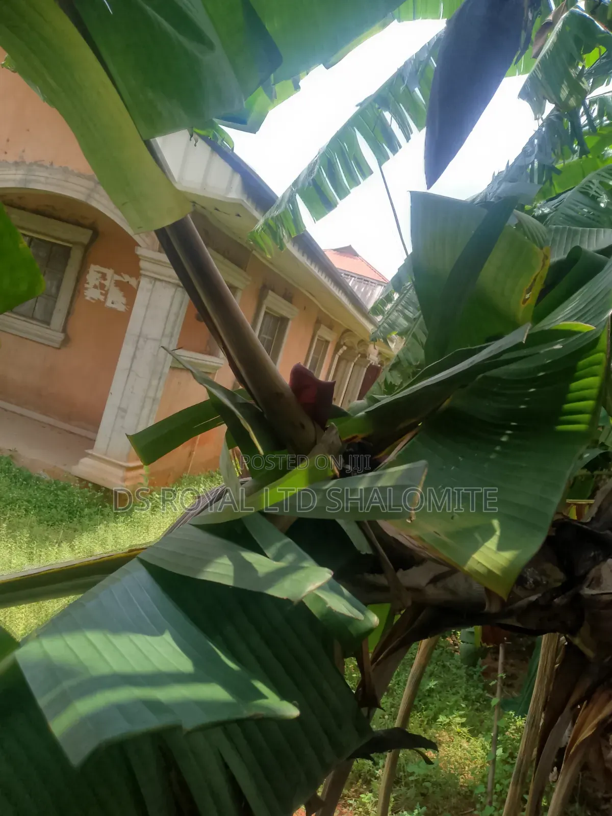 3bdrm Block of Flats in Benin City for sale