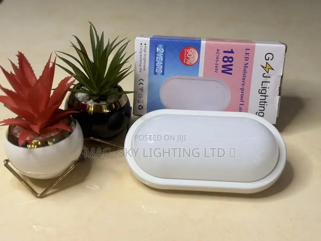 Outdoor Light