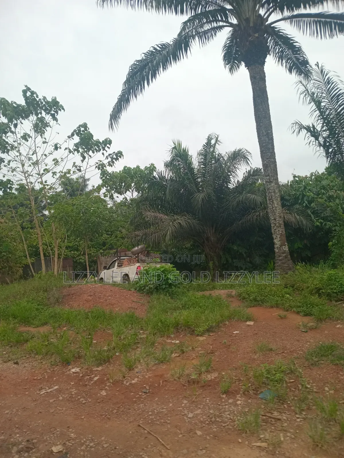 2000 Acres Of Farmland For Sale @280k Per Acre