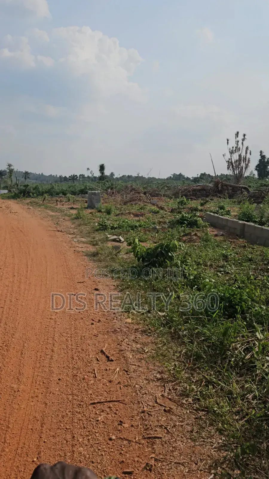 1000 Acres Of Farmland For Sale At Obafe