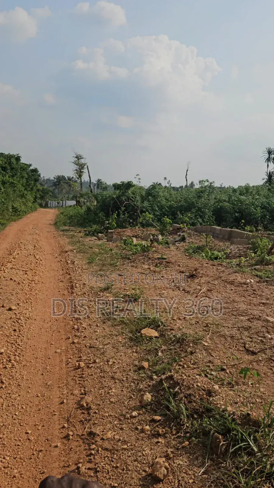 1000 Acres Of Farmland For Sale At Obafe