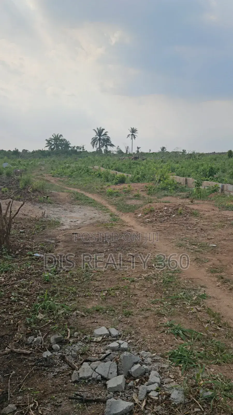 1000 Acres Of Farmland For Sale At Obafe