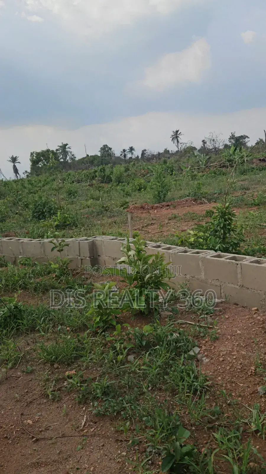 1000 Acres Of Farmland For Sale At Obafe
