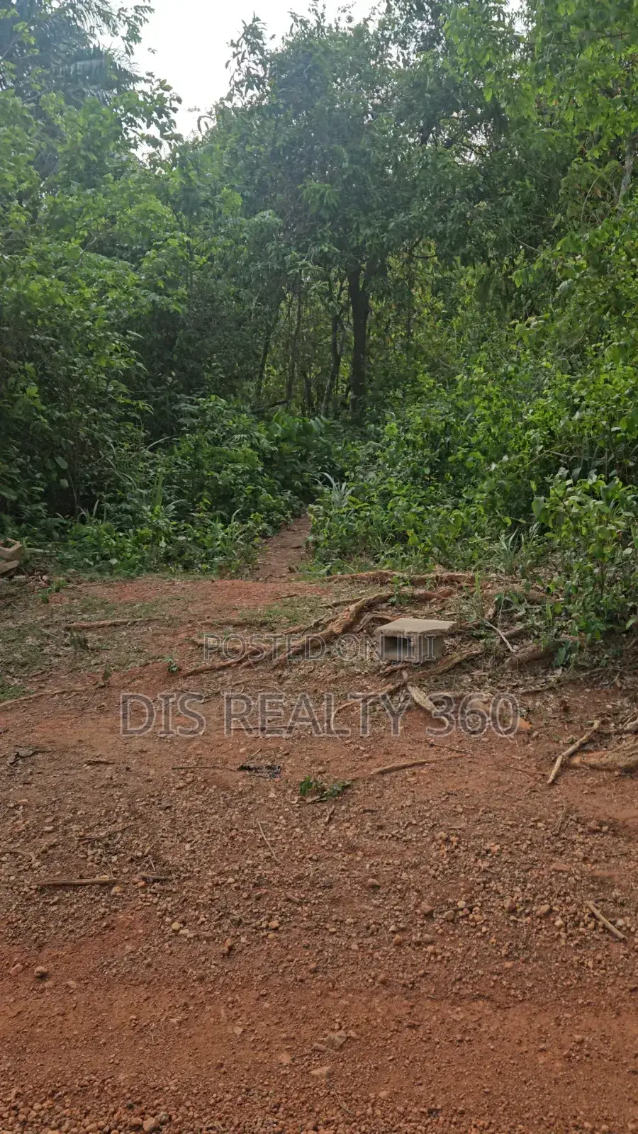 1000 Acres Of Farmland For Sale At Obafe