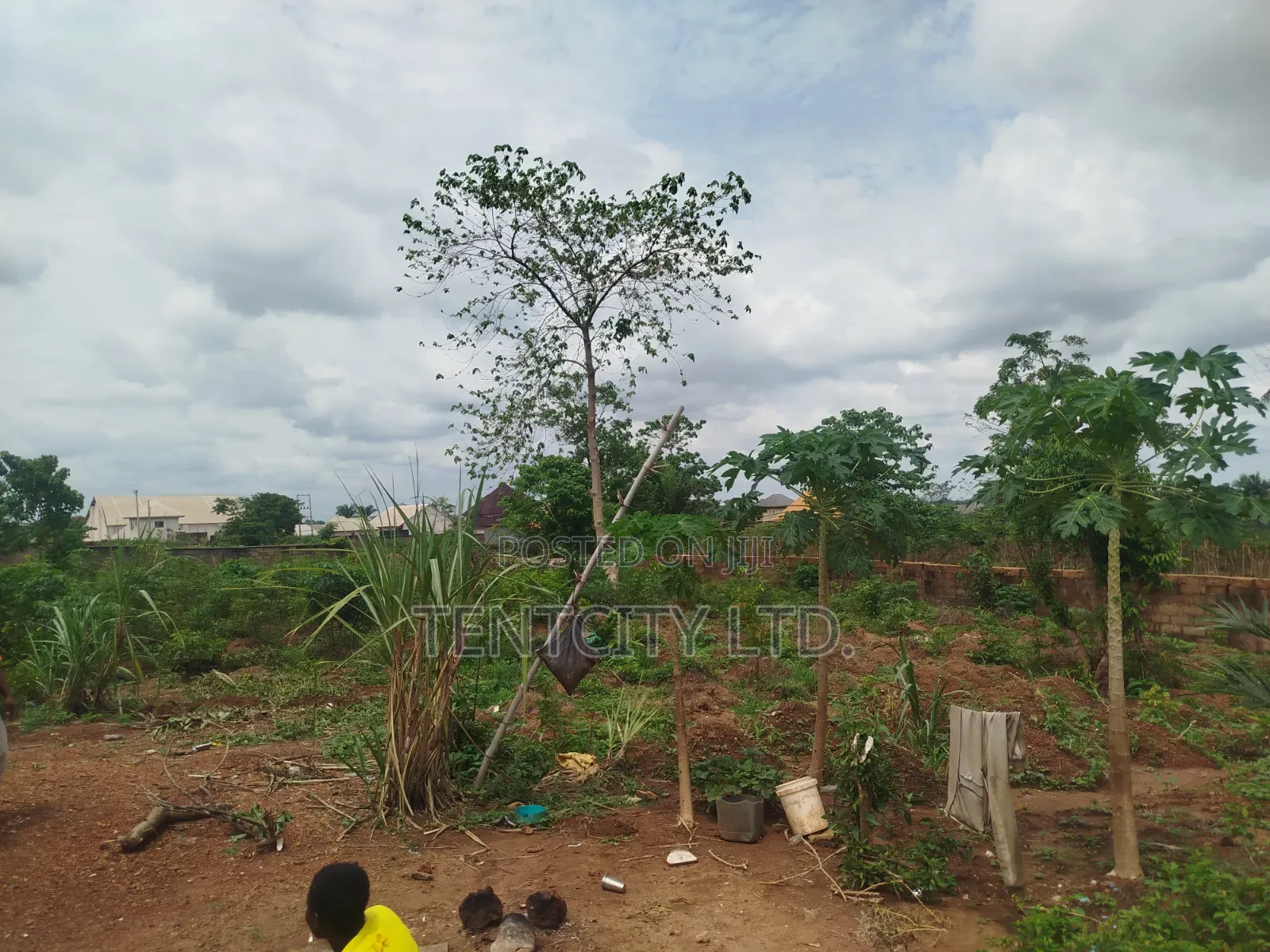 4 Plots With C of O at Emene Industrial/Residential Layout