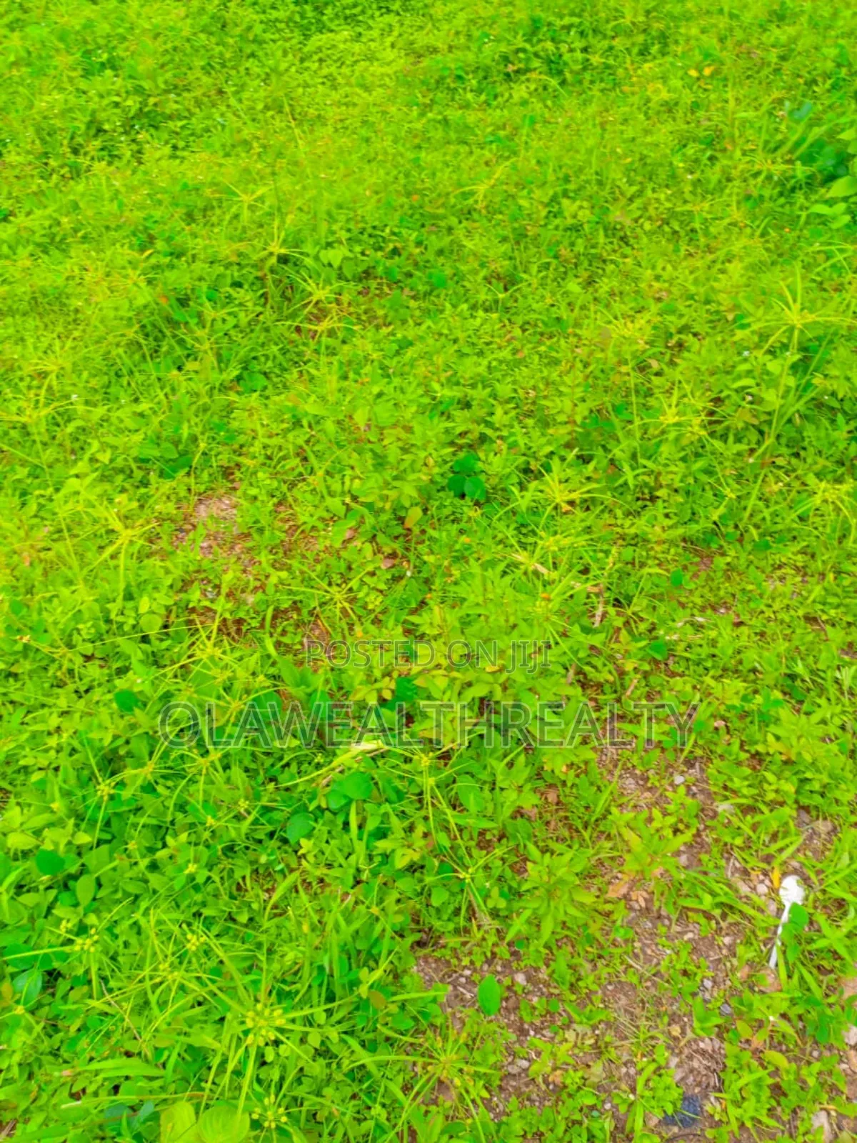 4282sqm Residential Plot at Wuye Main