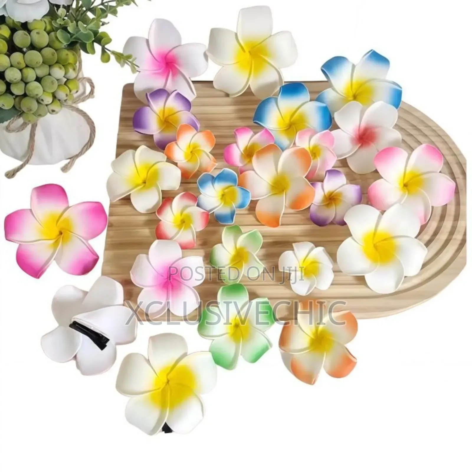 Hair Clips - Dozen