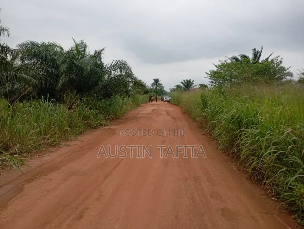 Plots of Land