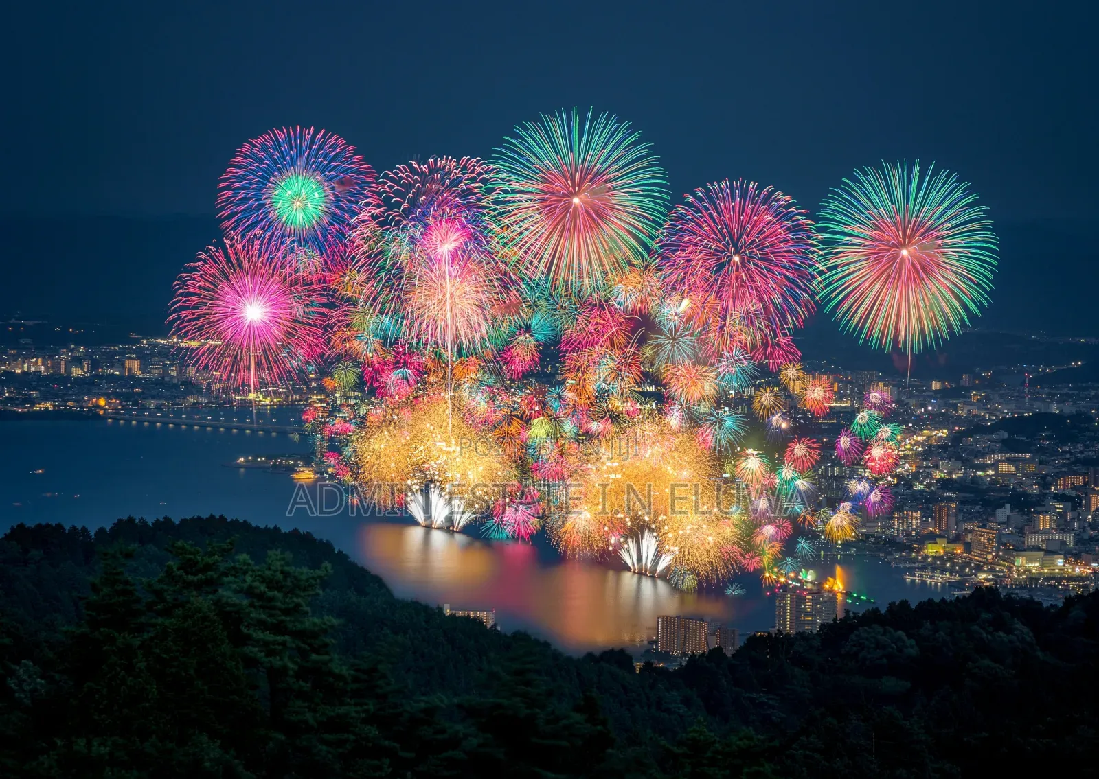 Fireworks Pyrotechnician Entertainment