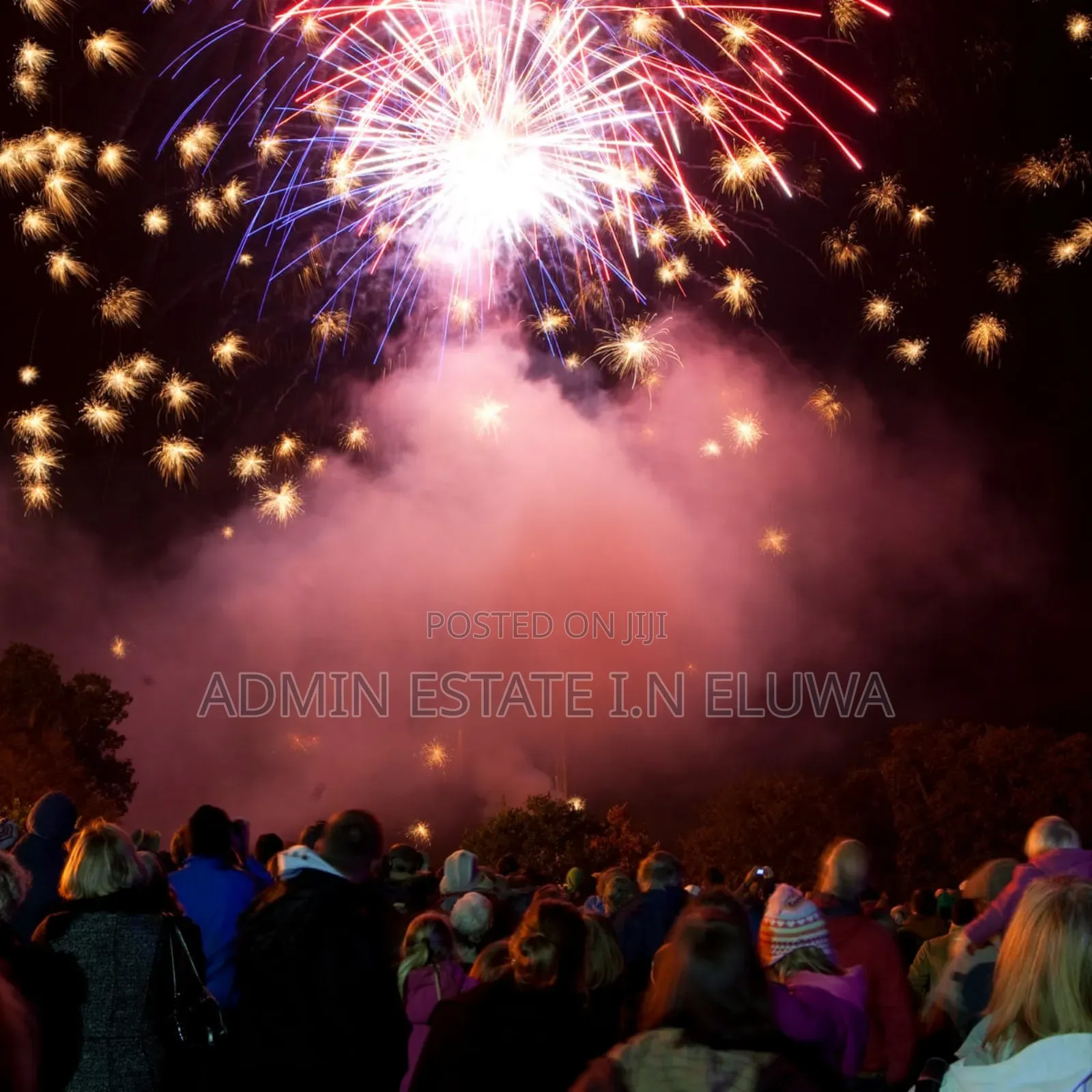 Fireworks Pyrotechnician Entertainment