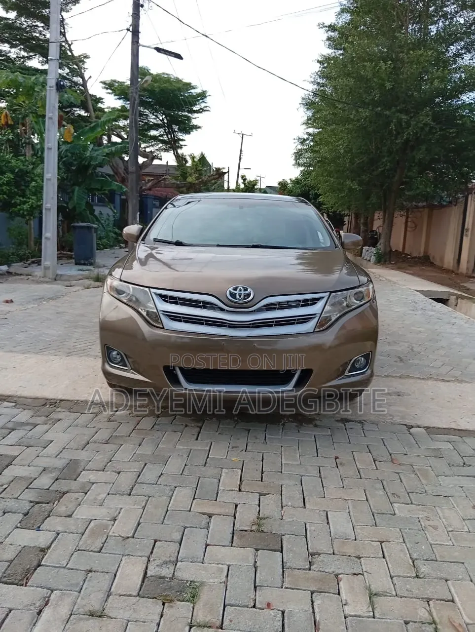 Toyota Venza 2009 Brown