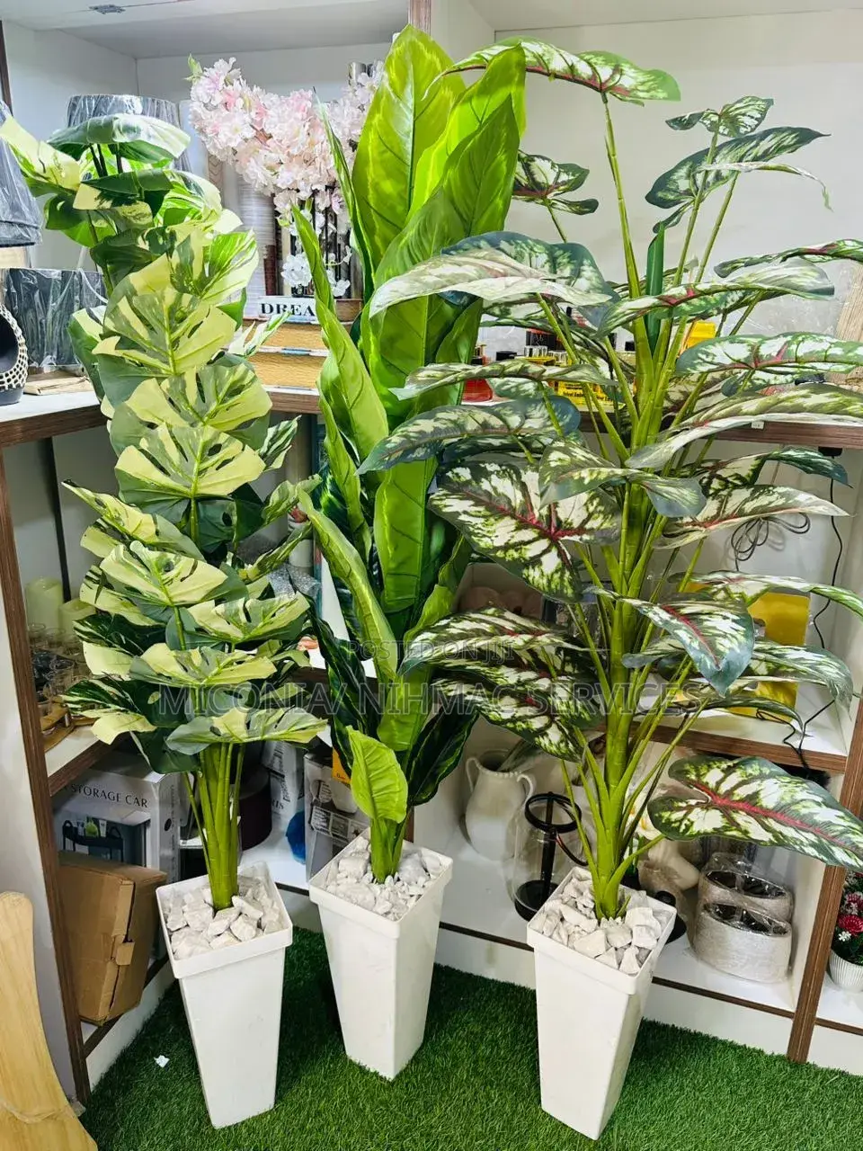 Artificial Dieffenbachia Plant for Home Office