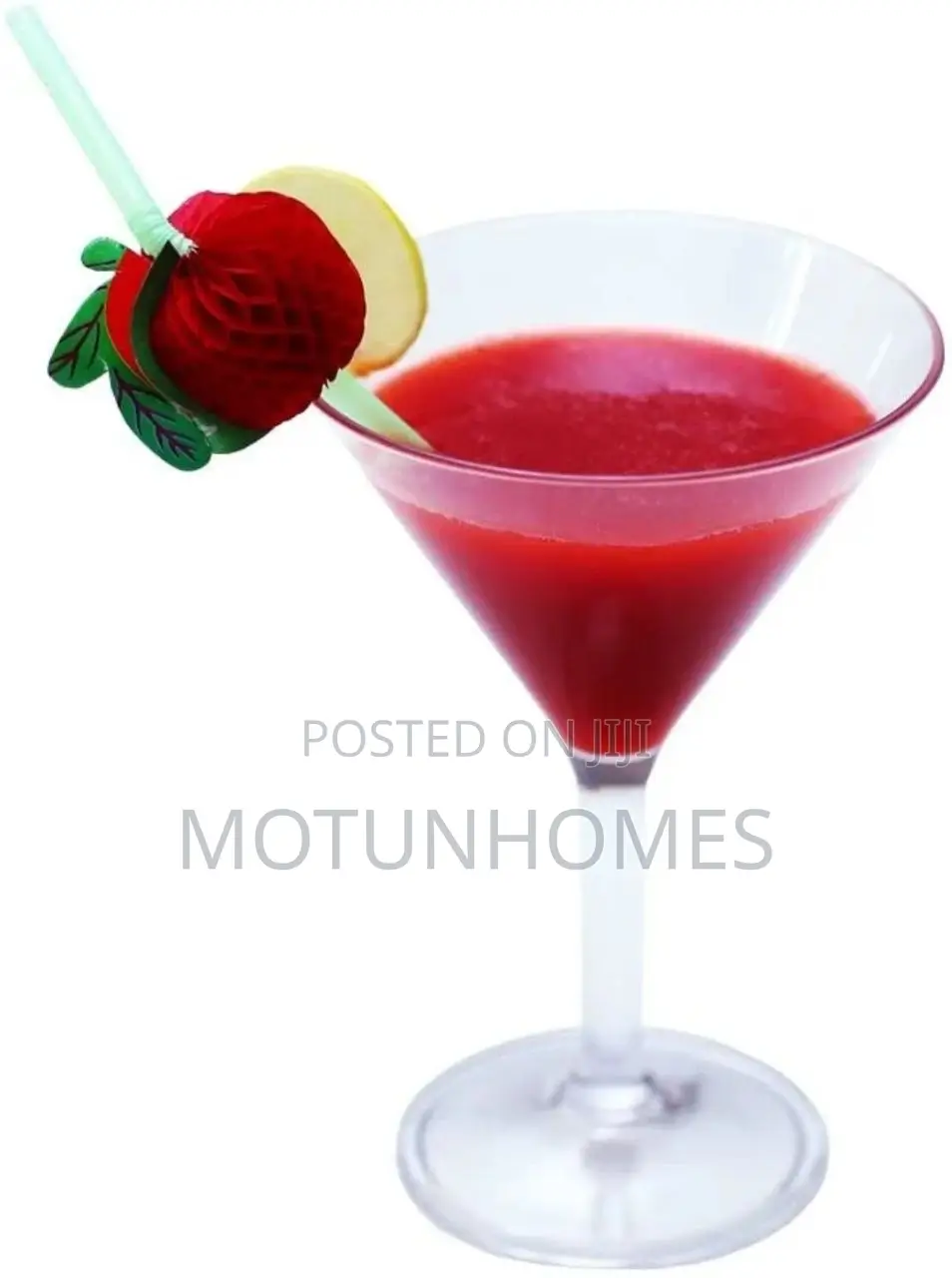 Acrylic Martini Cup
