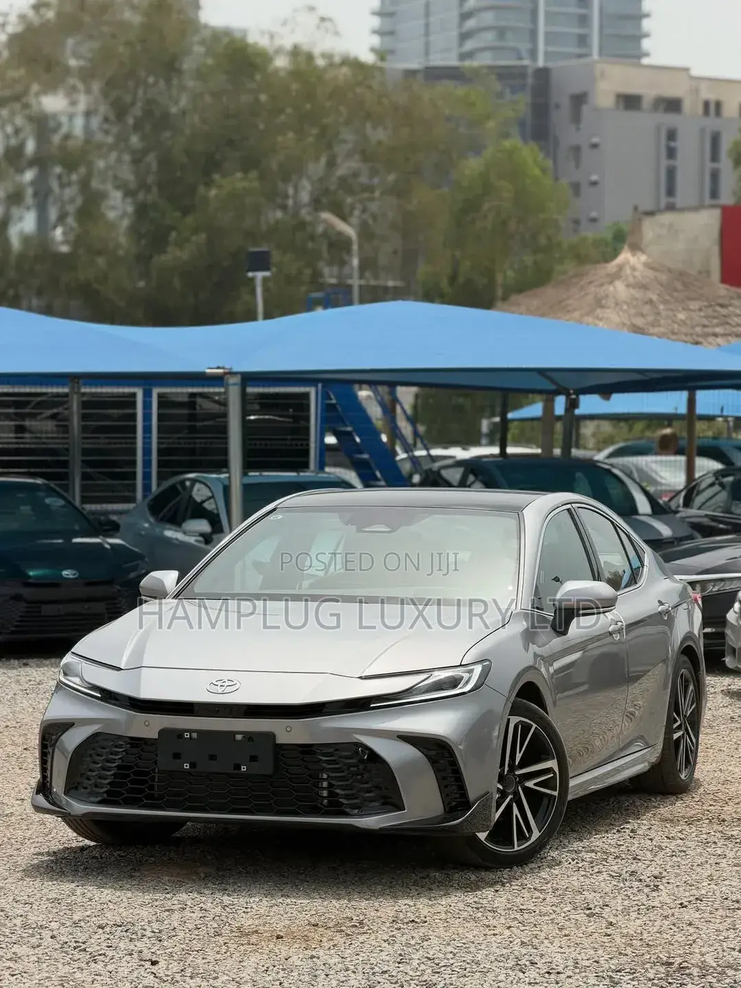 New Toyota Camry 2025 Gray