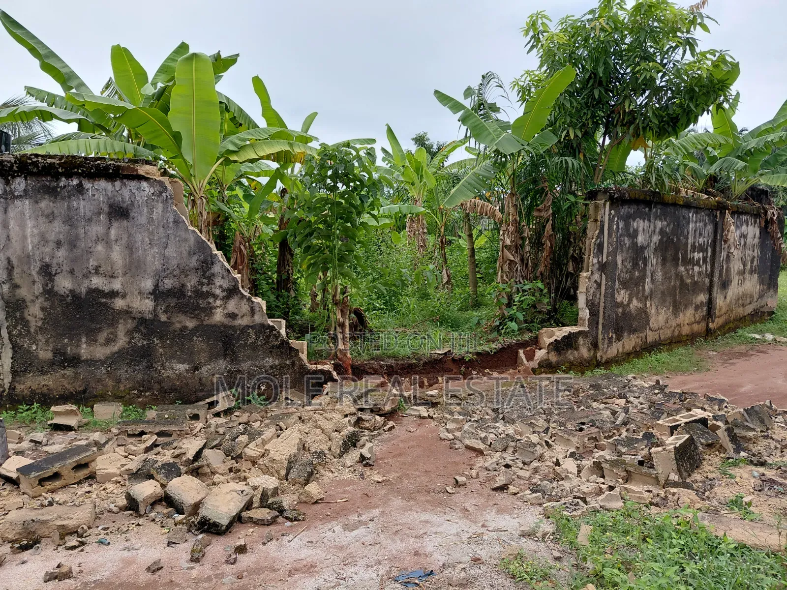 12000sqm Joint Venture Banana Island Ikoyi Lagos