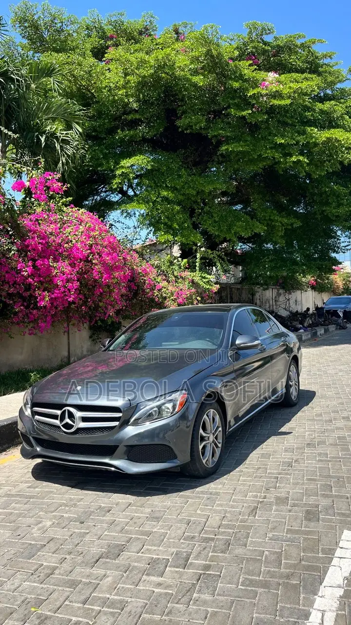 Mercedes-Benz C300 Luxury 4matic Sedan AWD (2.0L 4cyl 7A) 2017 Gray