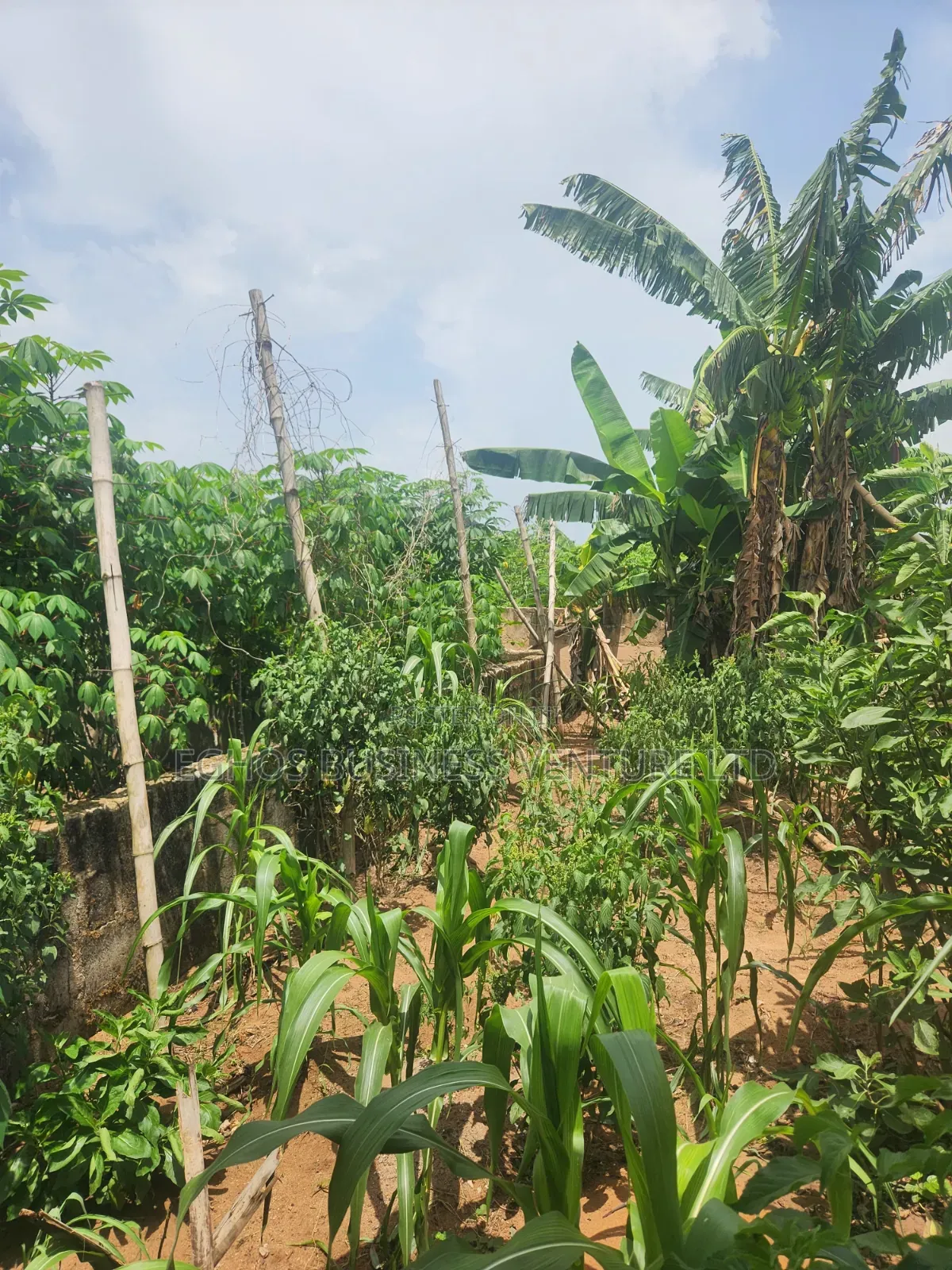 Urgent Land Sale 50ft by 100ft for Sale With Foundation
