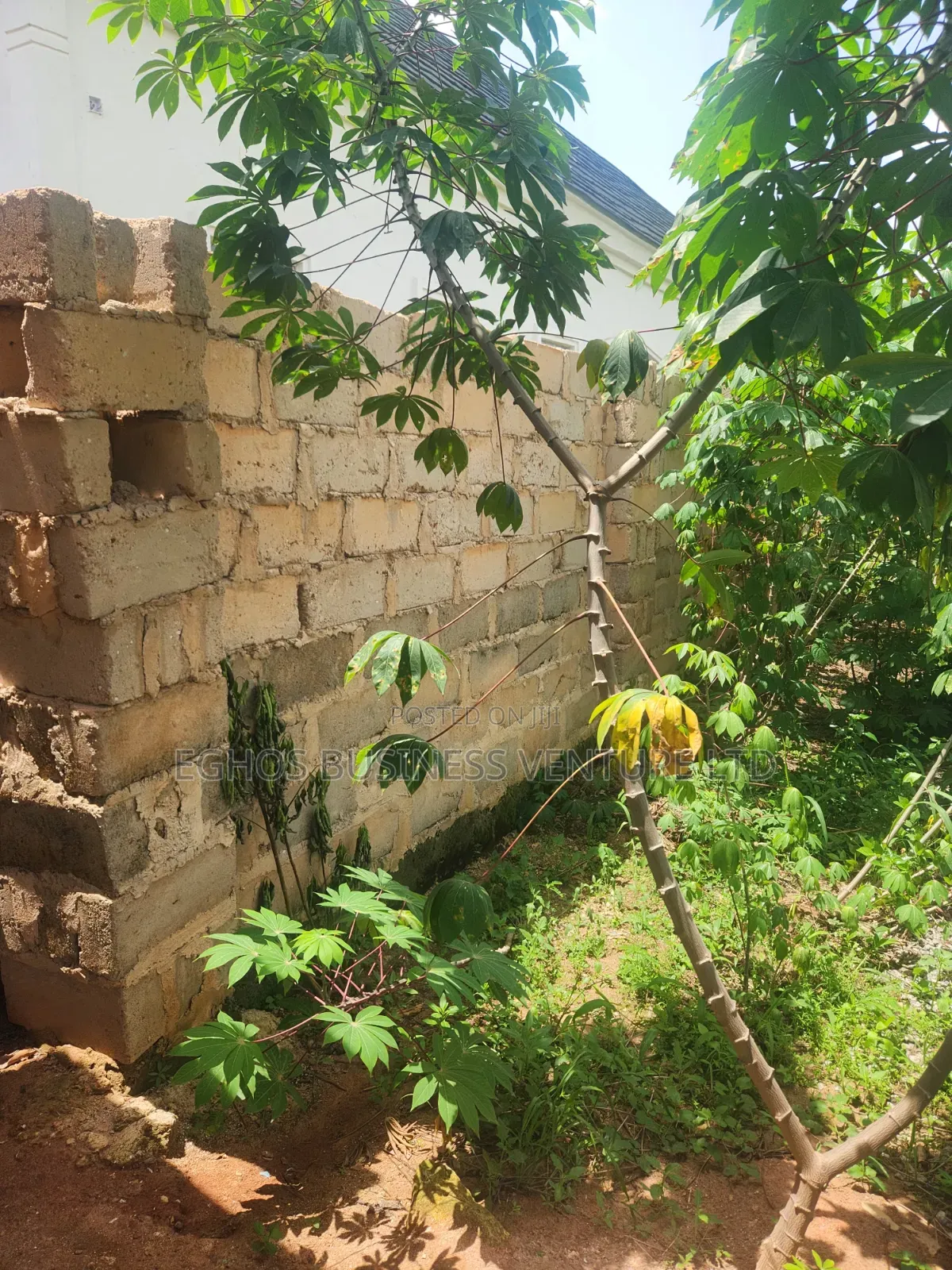Urgent Land Sale 50ft by 100ft for Sale With Foundation