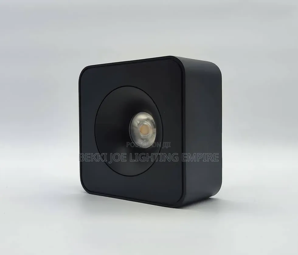 Surface Mounted Light