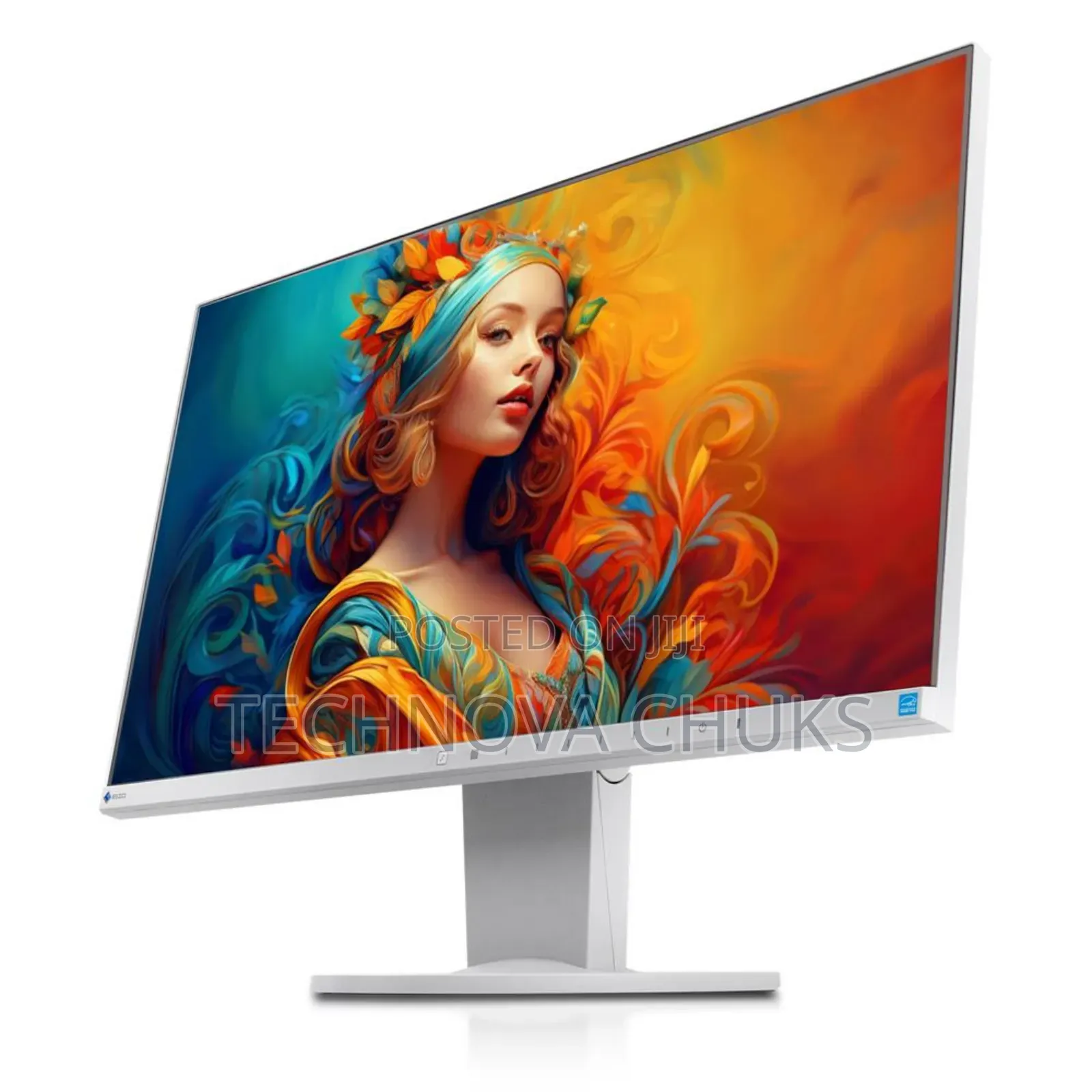 Eizo Flexscan Ev2450 Frameless Ips Monitor FHD