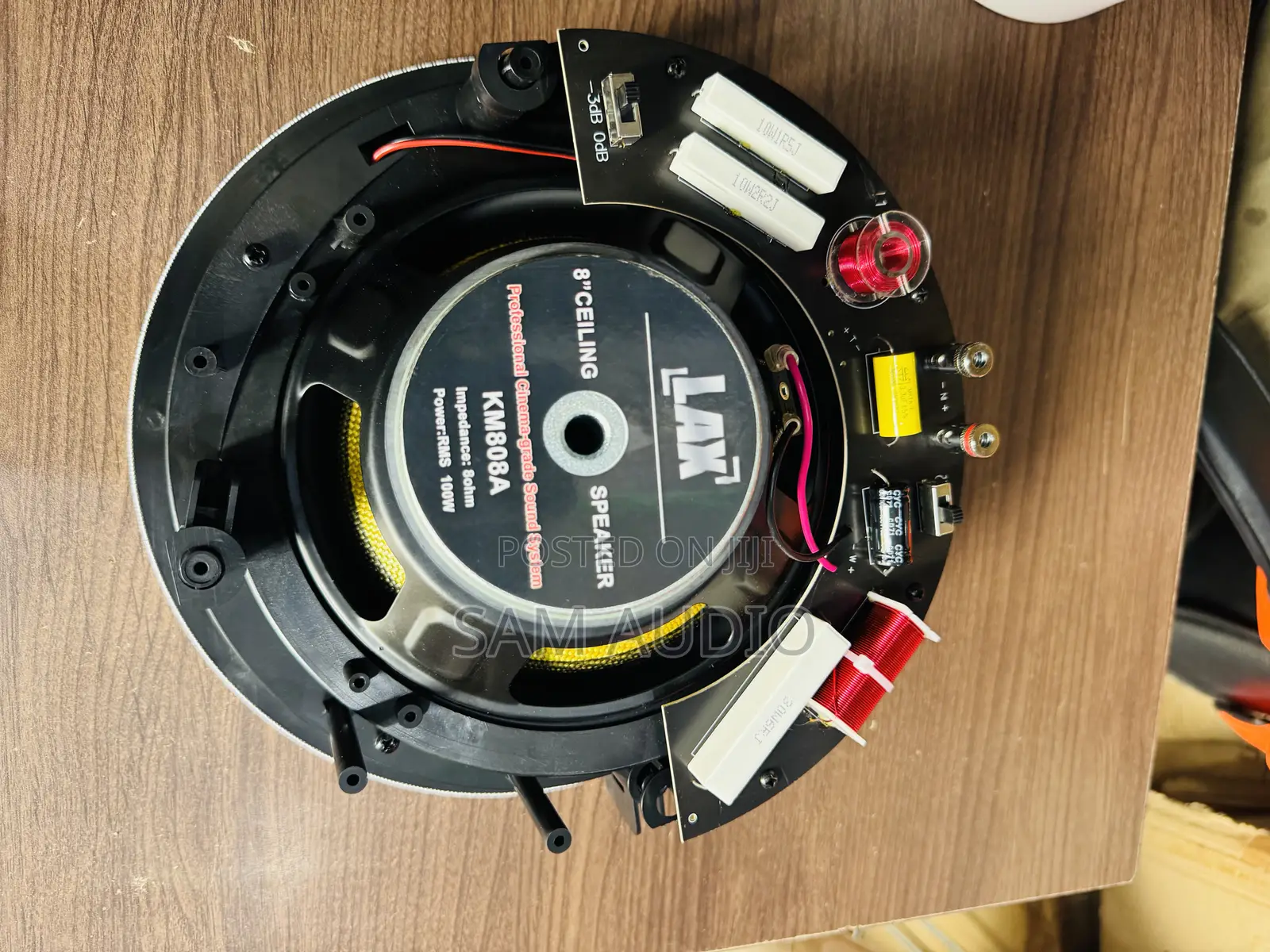 100watts Ceiling Speakers