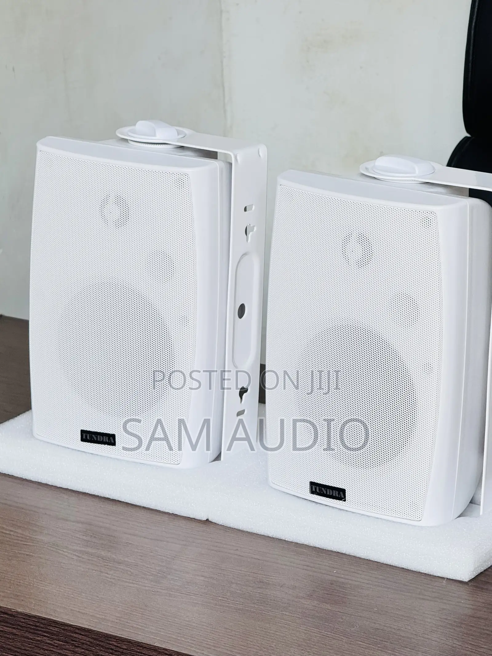 Tundra Outdoor and Indoor Speaker