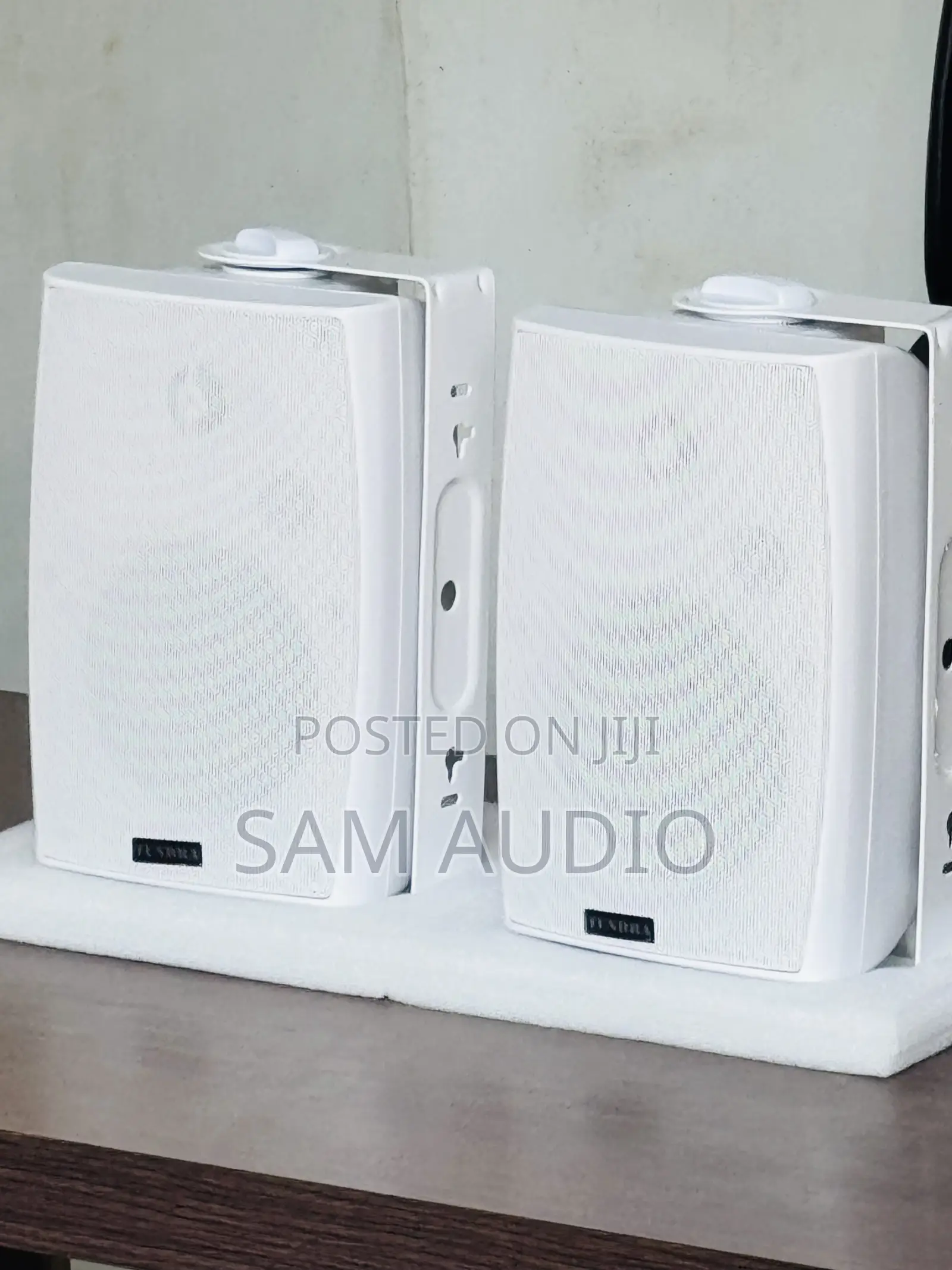 Tundra Outdoor and Indoor Speaker