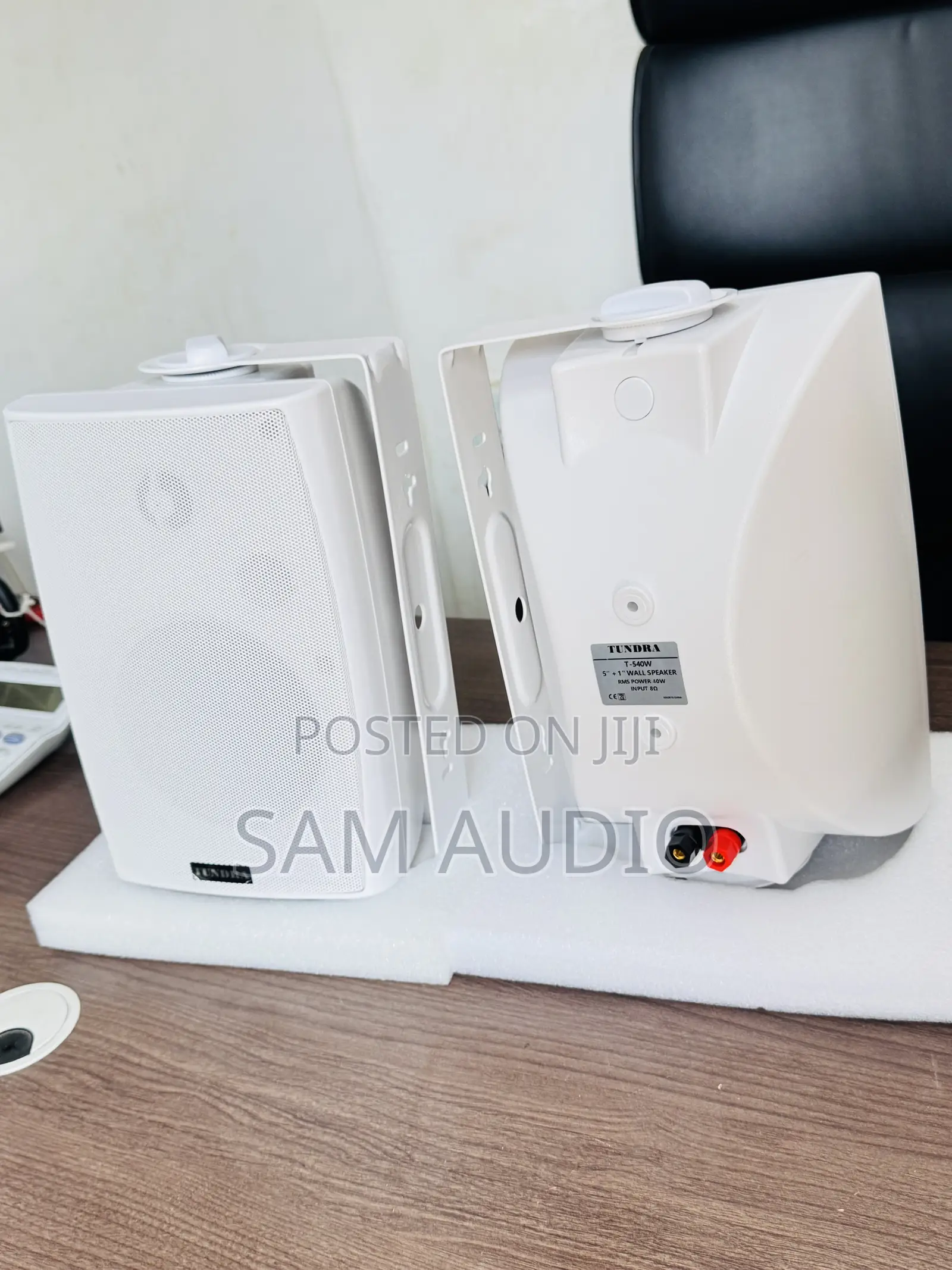 Tundra Outdoor and Indoor Speaker