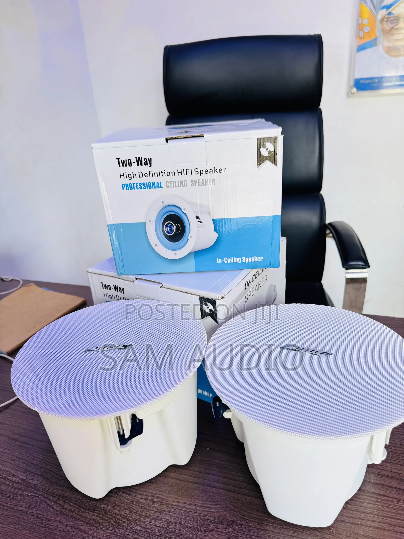 Bose Ceiling Speaker