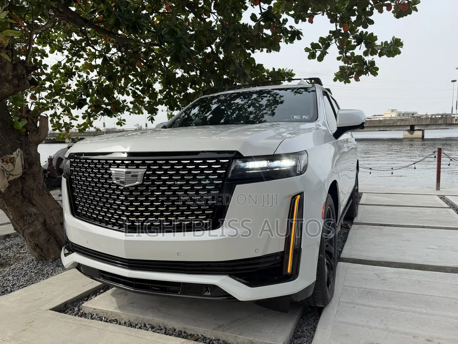 Cadillac Escalade 2024 White