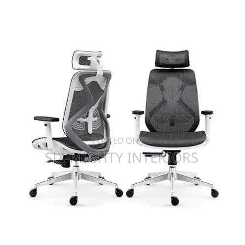 Ergonomic Home Office Chair for Extra Comfort -Black