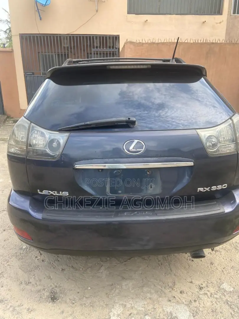 Lexus RX 330 2005 Gray
